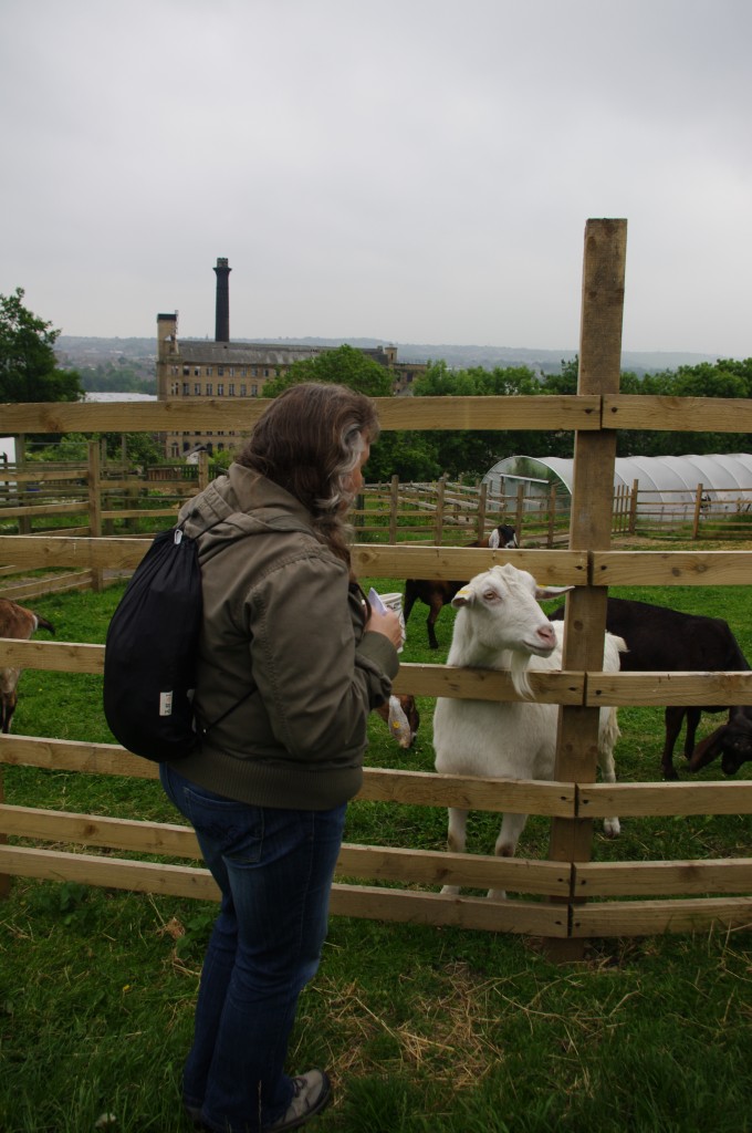 Community food grower and goat at Prism City Farm