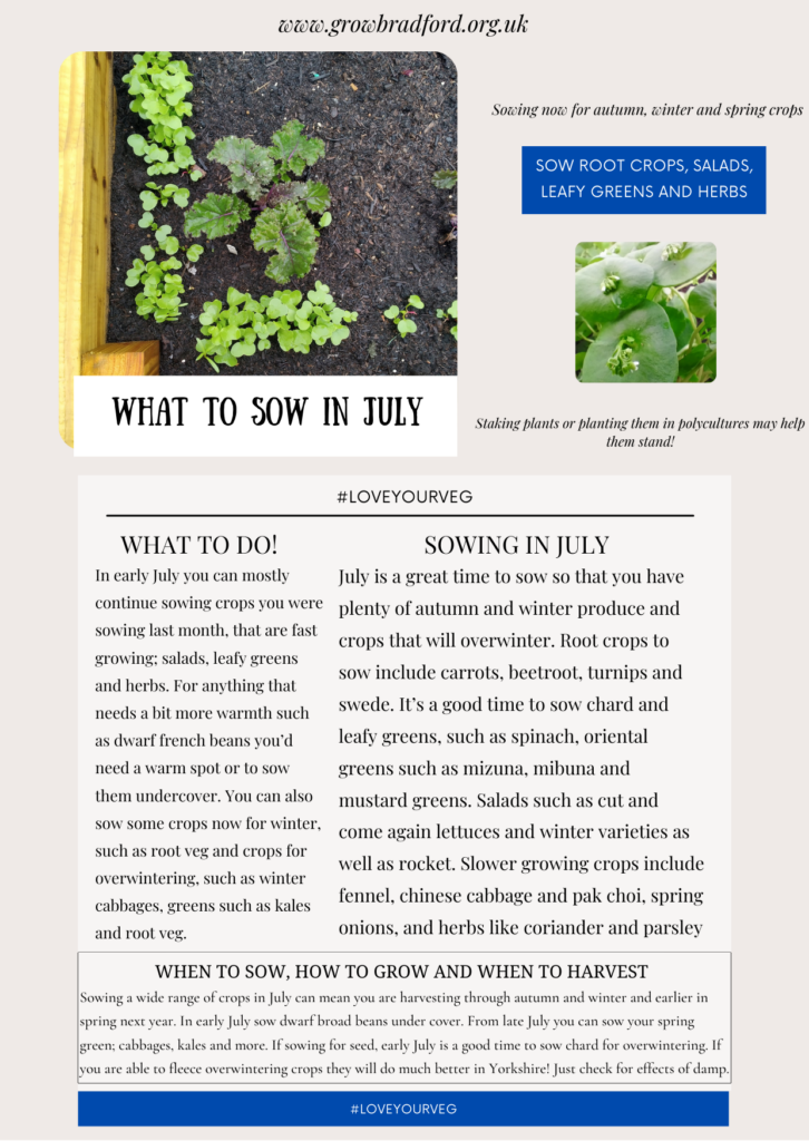 This upload is a description with images and text boxes of what to sow in July